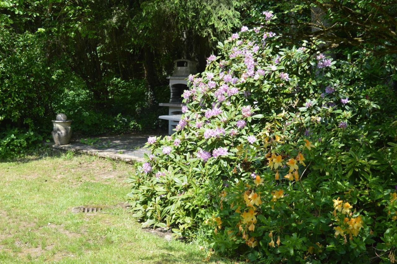 Le Moulin De Chatillon Saint-Leger Exterior foto